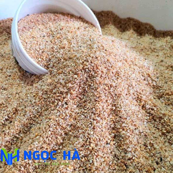 Chuẩn bị cát trước khi cho vào bể